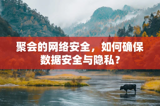聚会的网络安全，如何确保数据安全与隐私？