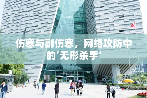 伤寒与副伤寒，网络攻防中的‘无形杀手’