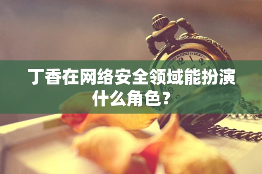 丁香在网络安全领域能扮演什么角色？