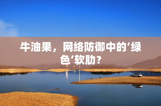 牛油果，网络防御中的‘绿色’软肋？