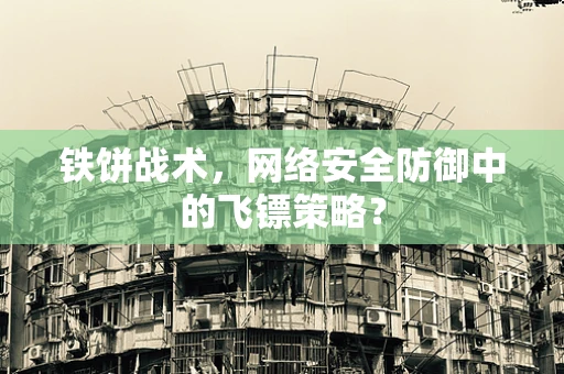 铁饼战术，网络安全防御中的飞镖策略？