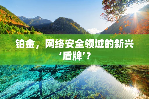 铂金，网络安全领域的新兴‘盾牌’？