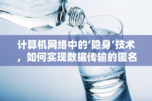 计算机网络中的‘隐身’技术，如何实现数据传输的匿名性？