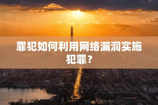 罪犯如何利用网络漏洞实施犯罪？
