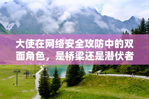 大使在网络安全攻防中的双面角色，是桥梁还是潜伏者？