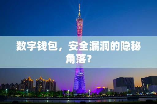 数字钱包，安全漏洞的隐秘角落？